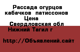 Рассада огурцов, кабачков, патиссонов › Цена ­ 20 - Свердловская обл., Нижний Тагил г.  »    